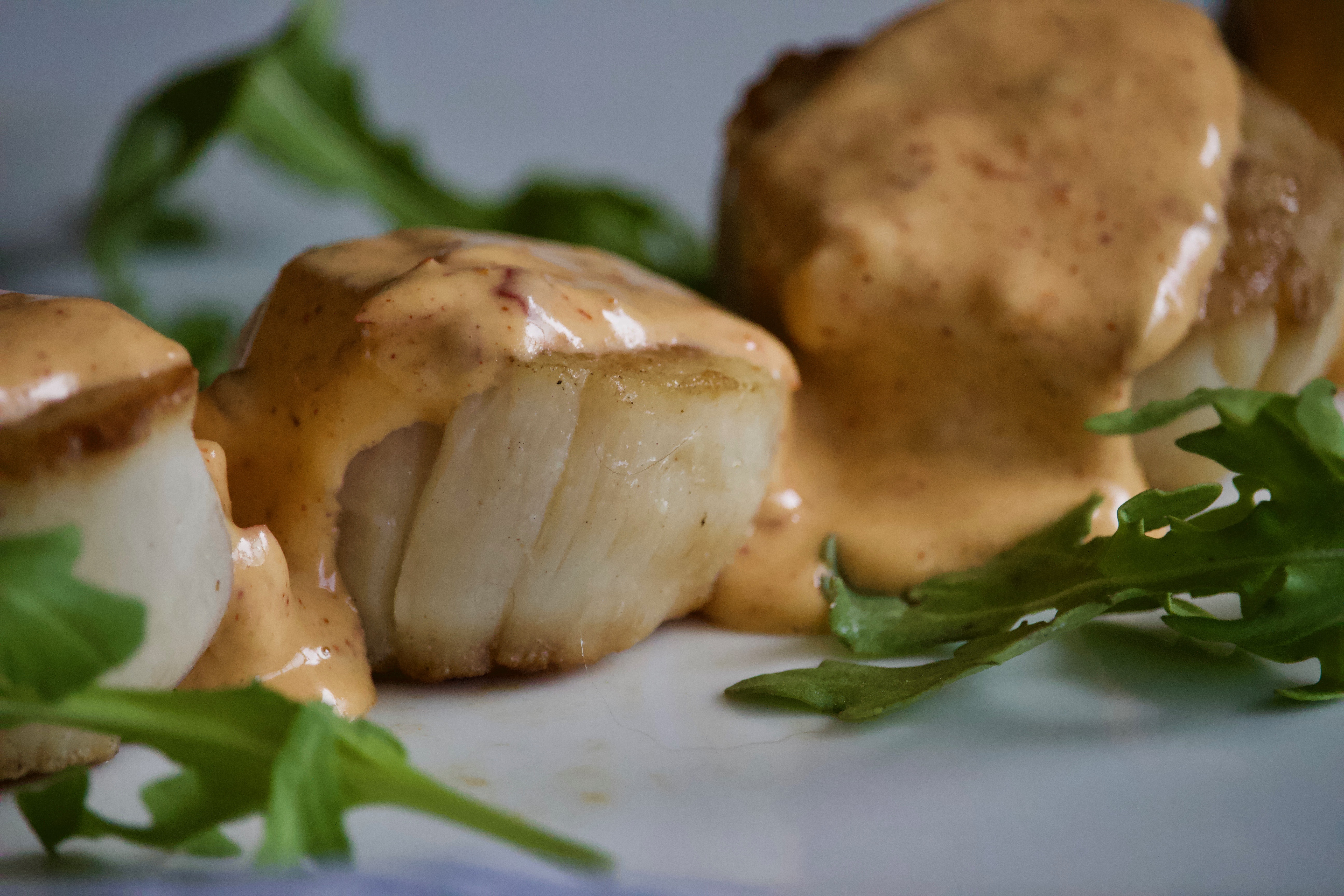 Pan Seared Scallops with Harissa Mayo